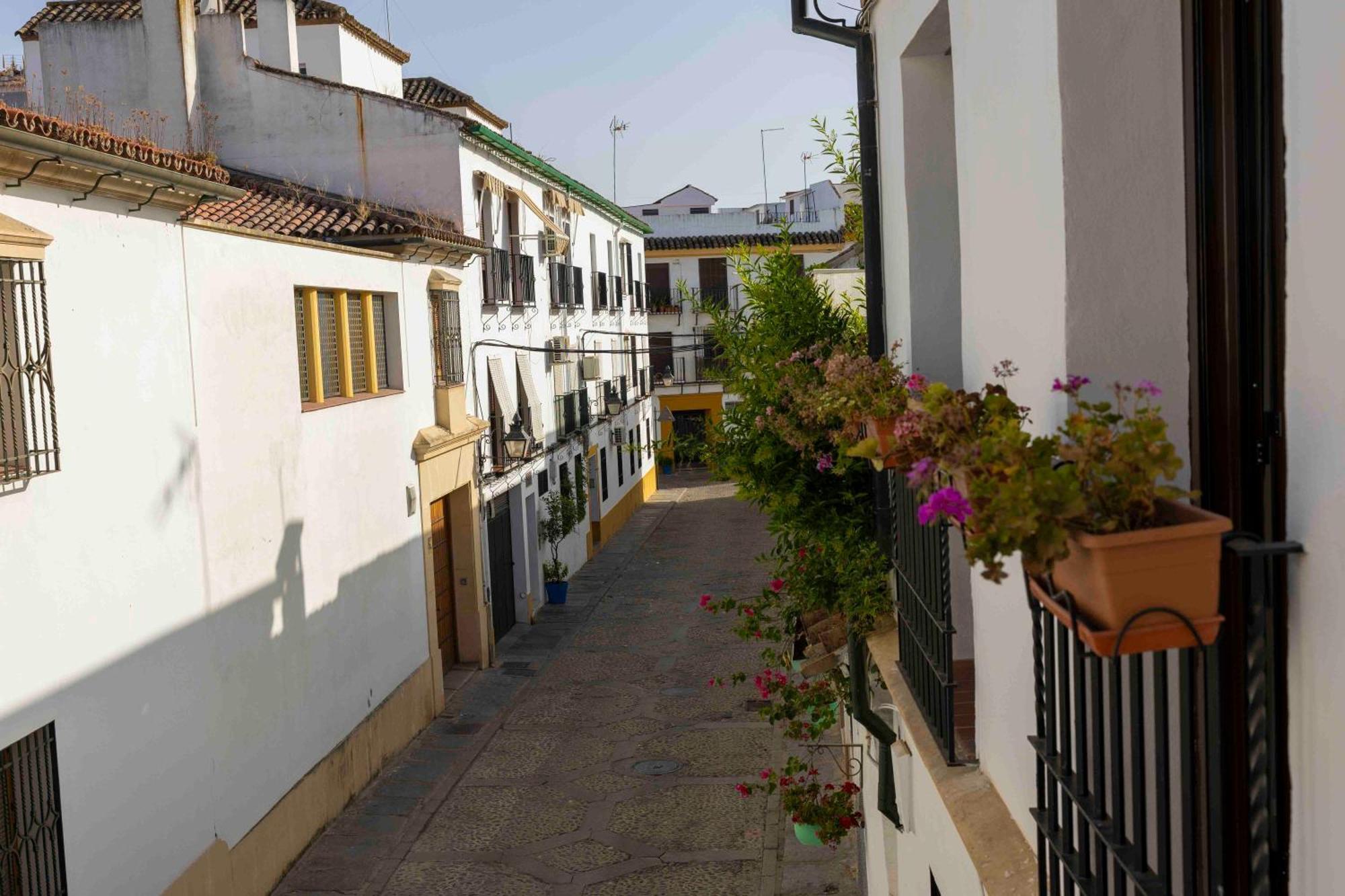 Mira San Basilio Daire Cordoba Dış mekan fotoğraf